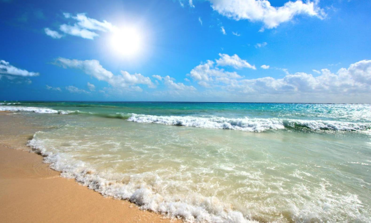 Sunny Beach Plaza 33 Studio Ngoại thất bức ảnh